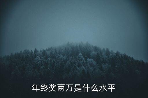 年終獎(jiǎng)10000什么水平，月薪1700年終獎(jiǎng)一萬算什么水平