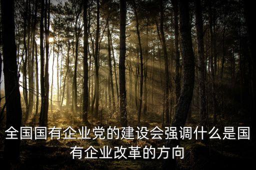 全國國有企業(yè)黨的建設(shè)會強調(diào)什么是國有企業(yè)改革的方向