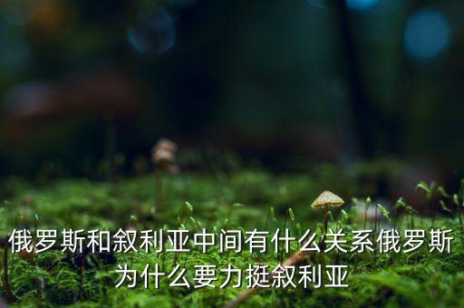 俄羅斯和敘利亞中間有什么關(guān)系俄羅斯為什么要力挺敘利亞