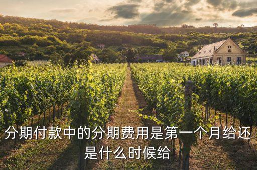分期付款中的分期費(fèi)用是第一個(gè)月給還是什么時(shí)候給