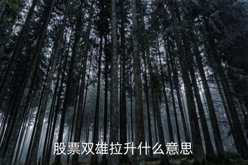 石化雙雄漲停意味著什么，股票雙雄拉升什么意思