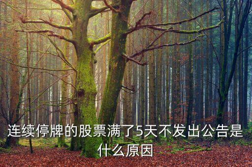 連續(xù)停牌的股票滿了5天不發(fā)出公告是什么原因