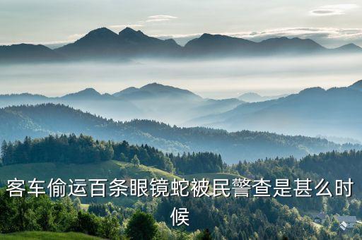 客車偷運(yùn)百條眼鏡蛇被民警查是甚么時(shí)候
