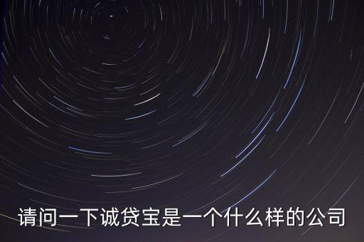 請問一下誠貸寶是一個(gè)什么樣的公司