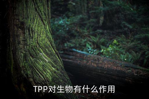 TPP對生物有什么作用