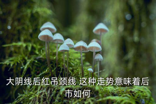 大陰線后紅吊頸線 這種走勢意味著后市如何