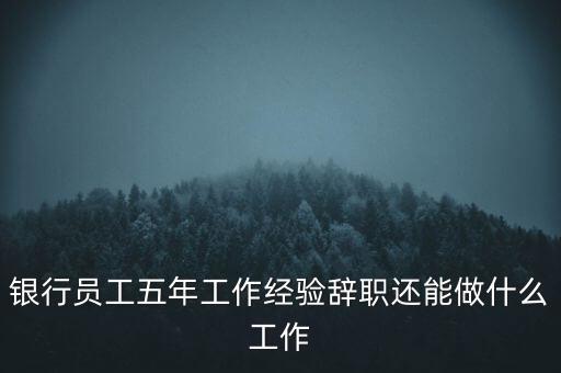 銀行員工五年工作經(jīng)驗(yàn)辭職還能做什么工作