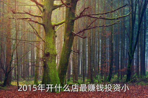 2015年開什么店最賺錢投資小