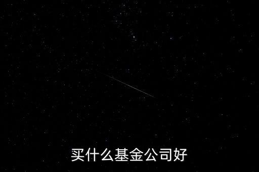 買什么基金公司好