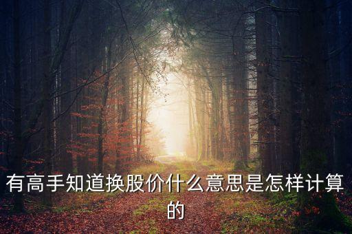有高手知道換股價(jià)什么意思是怎樣計(jì)算的