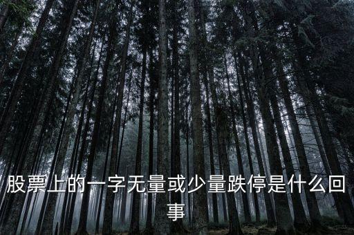 無量跌停代表什么，無量跌停是什么意思