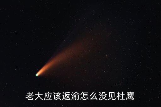 張曉強(qiáng)杜鷹為什么，發(fā)改委副主任杜鷹是誰(shuí)的孩子