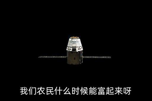 我們農(nóng)民什么時候能富起來呀
