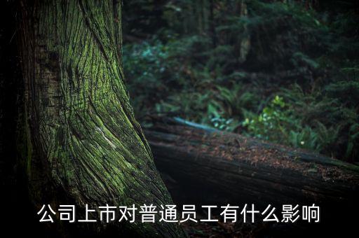 公司上市對普通員工有什么影響