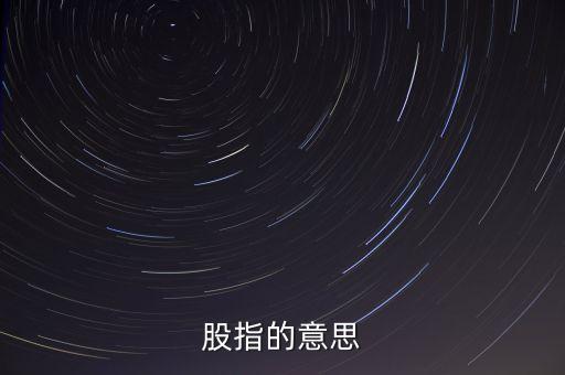 股指是什么意思，股指的意思