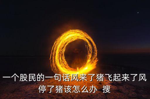 一個(gè)股民的一句話風(fēng)來(lái)了豬飛起來(lái)了風(fēng)停了豬該怎么辦  搜