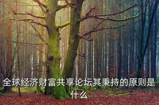 全球經(jīng)濟(jì)財(cái)富共享論壇其秉持的原則是什么