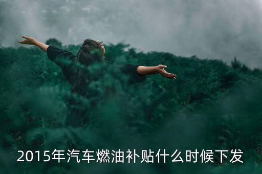 凱迪什么時(shí)候給燃料款，凱迪電廠欠燃料款不給怎么辦堵廠門違法嗎
