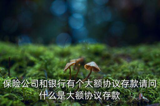 保險(xiǎn)公司和銀行有個(gè)大額協(xié)議存款請(qǐng)問什么是大額協(xié)議存款