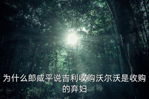 為什么郎咸平說吉利收購沃爾沃是收購的棄婦