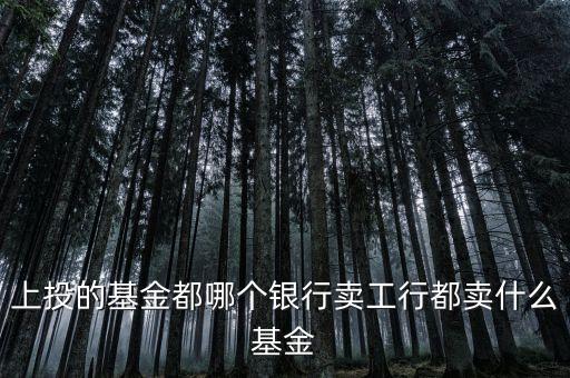 銀行賣什么基金，中國銀行現(xiàn)在賣的是什么基金