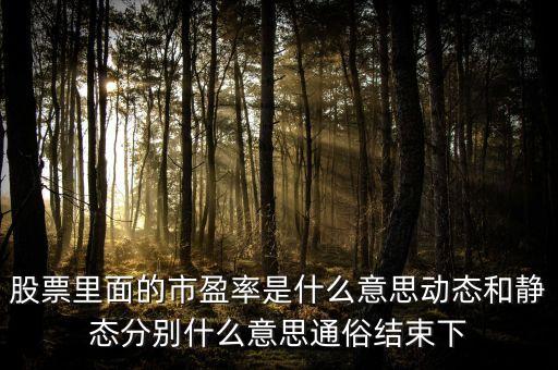 股票里面的市盈率是什么意思動態(tài)和靜態(tài)分別什么意思通俗結(jié)束下
