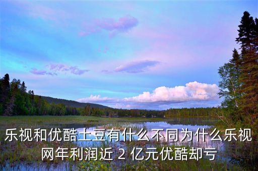 優(yōu)酷土豆為什么虧損，優(yōu)酷土豆怎么又虧又賺呢