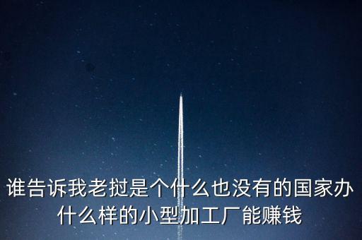 誰告訴我老撾是個什么也沒有的國家辦什么樣的小型加工廠能賺錢