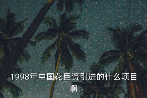 1998年中國花巨資引進(jìn)的什么項(xiàng)目啊