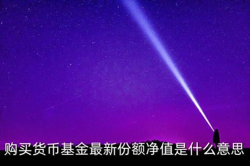 貨幣基金總份額是什么意思，購買貨幣基金最新份額凈值是什么意思