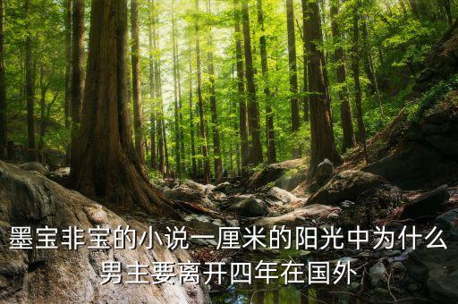 墨寶非寶的小說一厘米的陽光中為什么男主要離開四年在國外