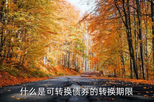什么情況可轉(zhuǎn)換債券持有到期，什么是可轉(zhuǎn)換債券的有效期限