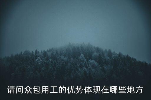 請問眾包用工的優(yōu)勢體現(xiàn)在哪些地方