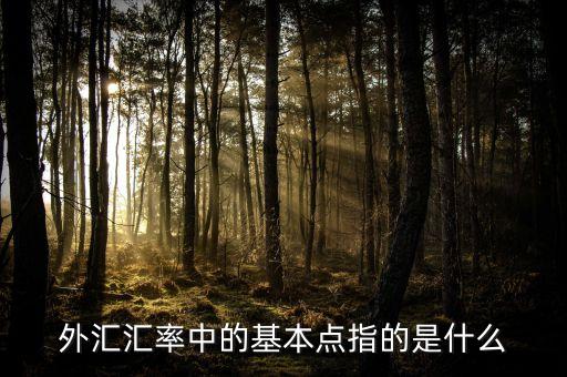 外匯基點(diǎn)是什么意思，外匯匯率中的基本點(diǎn)指的是什么