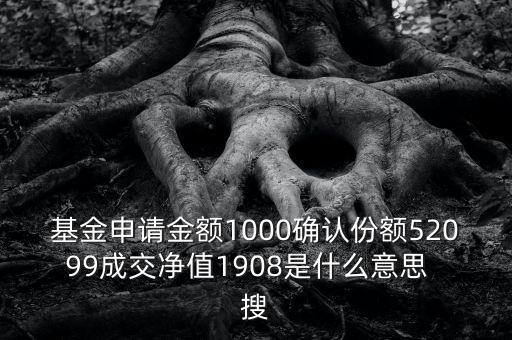 基金申請(qǐng)金額1000確認(rèn)份額52099成交凈值1908是什么意思  搜