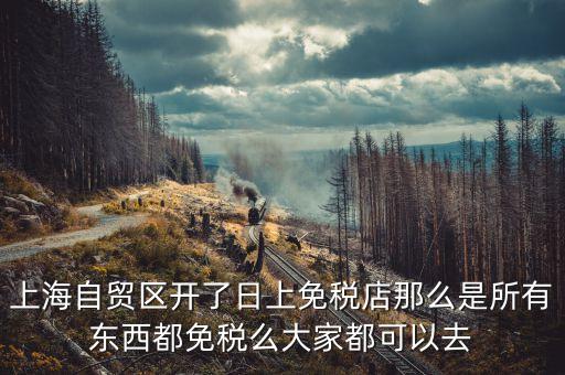 上海自貿(mào)區(qū)免稅店有些什么東西，上海自貿(mào)區(qū)有什么賣的