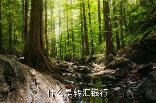 什么叫轉(zhuǎn)匯，在匯兌結(jié)算中轉(zhuǎn)匯是什么意思轉(zhuǎn)匯的收款人必須是原收款人怎么
