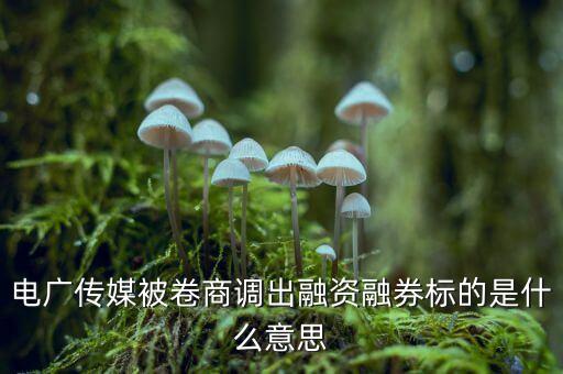 調(diào)出融資標(biāo)的是什么意思，調(diào)出融資融券標(biāo)的名單是什么意思