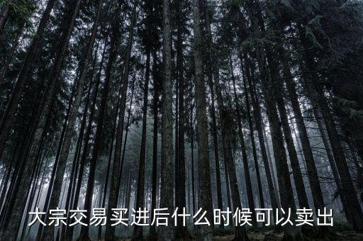 大宗交易買進后什么時候可以賣出