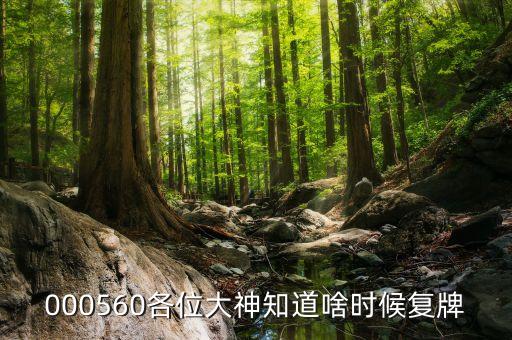 通富微電什么時(shí)候復(fù)牌，000560各位大神知道啥時(shí)候復(fù)牌