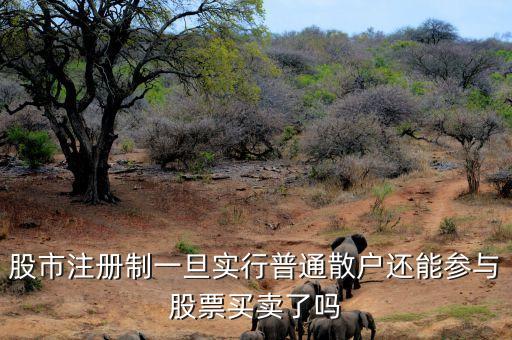什么是注冊制改革，名詞解釋 注冊制度