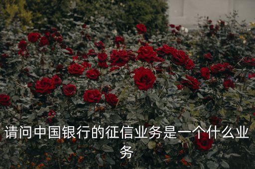 什么是征信業(yè)務(wù)，信貸及征信業(yè)務(wù)是什么意思