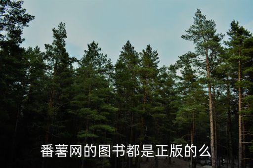 方正番薯什么公司，方正集團(tuán)怎么樣