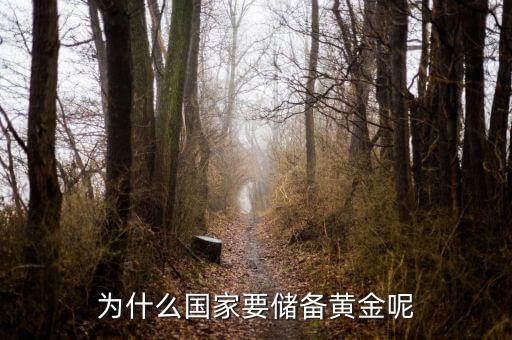 中國(guó)人為什么買(mǎi)黃金，現(xiàn)在人們?yōu)槭裁疮傎I(mǎi)黃金