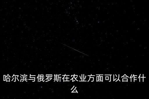 哈爾濱與俄羅斯在農(nóng)業(yè)方面可以合作什么
