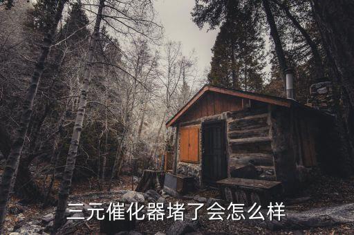 三元催化器堵了會(huì)怎么樣