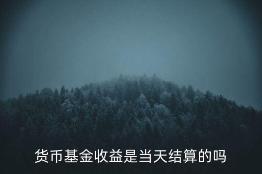 貨幣基金收益是當天結(jié)算的嗎