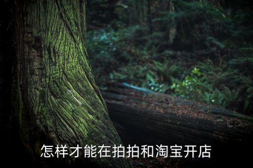 阿里傳什么時(shí)候出版，圣杯真的是個(gè)女人嗎