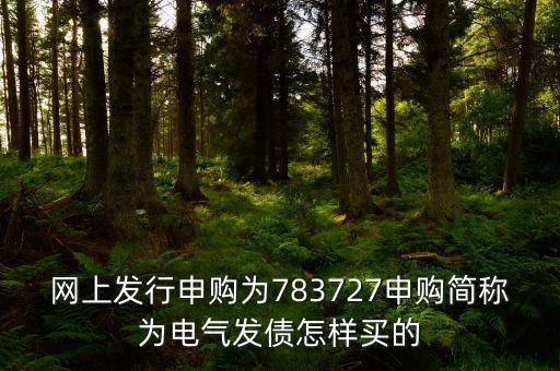 網(wǎng)上發(fā)行申購為783727申購簡稱為電氣發(fā)債怎樣買的