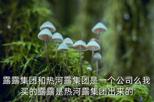 露露投資主要做什么，露露集團和熱河露集團是一個公司么我買的露露是熱河露集團出來的